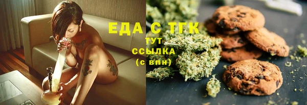 ПСИЛОЦИБИНОВЫЕ ГРИБЫ Горняк
