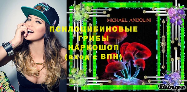 ПСИЛОЦИБИНОВЫЕ ГРИБЫ Горняк
