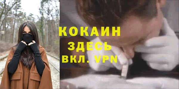ПСИЛОЦИБИНОВЫЕ ГРИБЫ Горняк