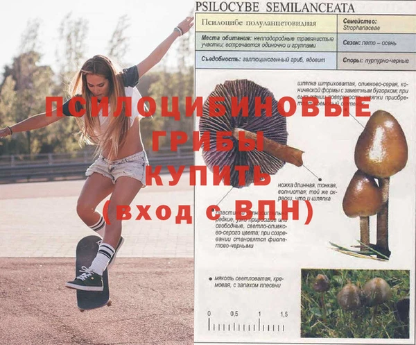 2c-b Горнозаводск