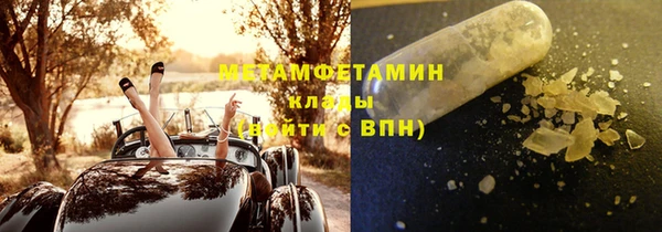 ПСИЛОЦИБИНОВЫЕ ГРИБЫ Горняк