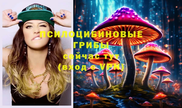 ПСИЛОЦИБИНОВЫЕ ГРИБЫ Горняк